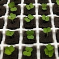 thumbnail image 4 of Raindrops 50Set Professional Nutrient Blocks Germination Soil Blocks for Factory Nurseries, 4 of 8