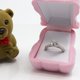 thumbnail image 3 of Qarigey Caja de joyería con forma de Animal encantador, caja de almacenamiento de de anillo portátil, organizador de joyas, regalo de Ropa, zapatos y accesorios Miscelánea Rosado, 3 of 6