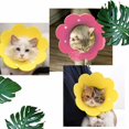 thumbnail image 4 of Housse de Protection pour Collier de Récupération pour Animaux de Compagnie pour Chien et Chat, 4 of 4