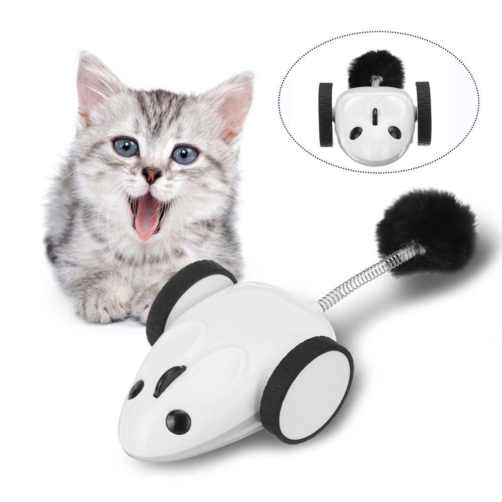 APP Control Electric Mouse Racer Cat Toy Wireless Remote Control 360