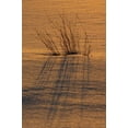 thumbnail image 2 of Grandmaison, Mike 13x18 White Modern Wood Framed Museum Art Print Titled - Canada, Ontario, Hope Bay Grasses at sunset, 2 of 4
