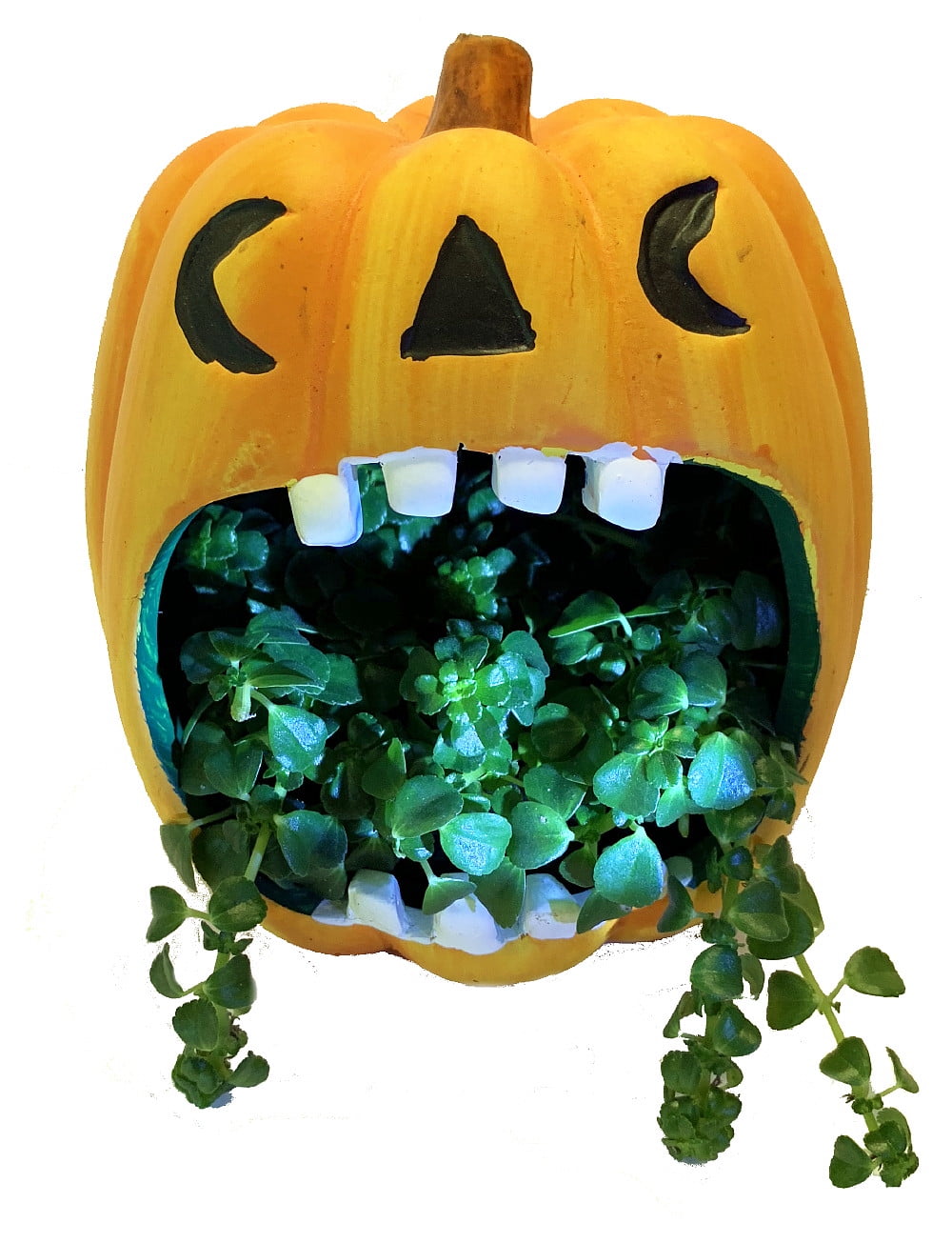 Pumpkin Howler Halloween Indoor Garden Planter 5