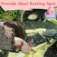 thumbnail image 6 of 1pcs Axolotl Hides for Aquarium with 2pcs Nitrifying Ball Set, Driftwood Axolotl Cave Hideout and Aquarium Filter Balls, Fish Tank Decor, Shelter for Small Pet Frog Fish Betta, 6 of 7