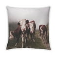 thumbnail image 2 of Ahgly Company Animals Cow Outdoor Throw Pillow, 18 inch by 18 inch, 2 of 6