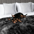 thumbnail image 3 of PAVILIA Black Fluffy Bed Blanket, Queen Size, Fuzzy Blanket for Women Men, Furry Plush Warm Large Blanket for Couch Sofa, Super Soft Thick Faux Fur Sherpa Blanket, Tie-Dye, 90x90, 3 of 9