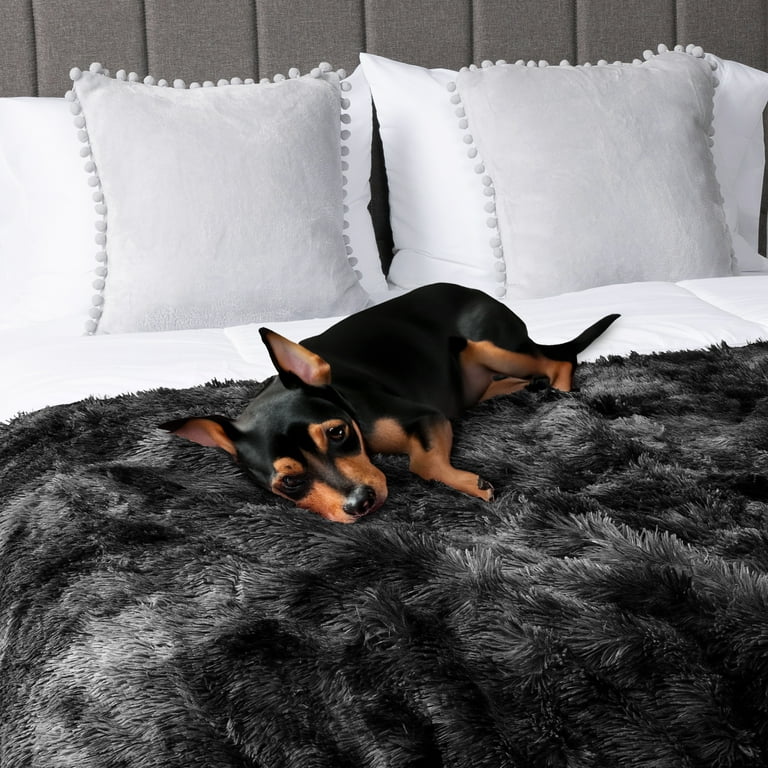 Pavilia, Fluffy Throw Blanket, 50x60, Faux Fur Sherpa Fuzzy Plush