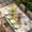 Beige, variant on Watercolor Truck Flowers Table Cloths for 6 Foot Rectangle Tables, Spring Butterflies Botanical Plaid Patio Waterproof Elastic Fitted Tablecloths, Washable Rectangular Table Cover for Camping