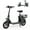 Black-Updated, variant on Dazone 450W 36V Folding Electric Scooters E-Scooter, 12 inches Tires Sports Electric Scooter with Seat, Adult Electric Bike Ebike Biycle, Electric Moped for Adult Commuter, Black