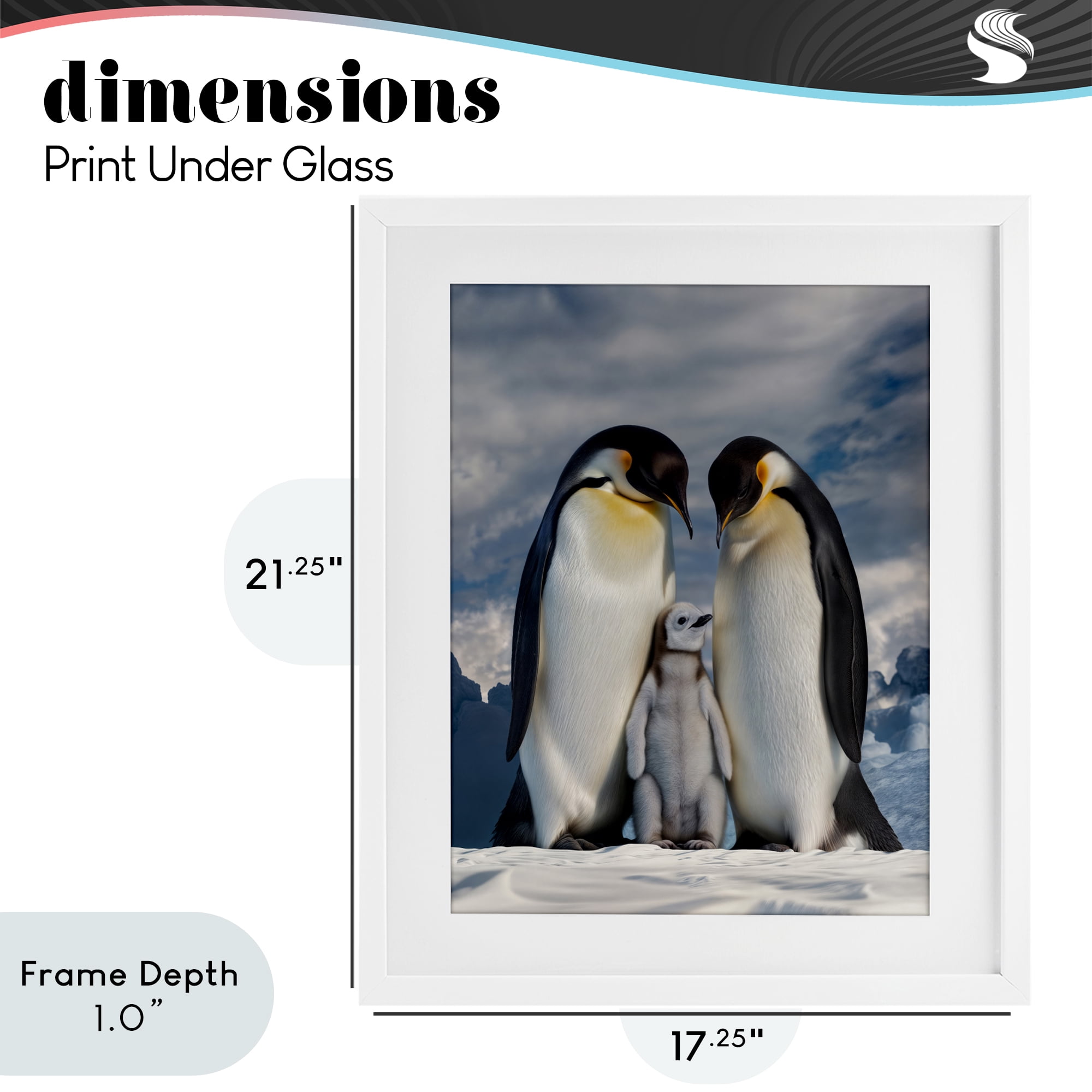 Stupell Industries Penguins In The Wild White Framed Print Under Glass, design by Scott Stulberg