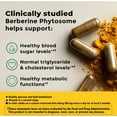 thumbnail image 2 of Nature Made Better Absorption Berberine Phytosome Capsules, Berberine Supplement, 60 Count, 2 of 8