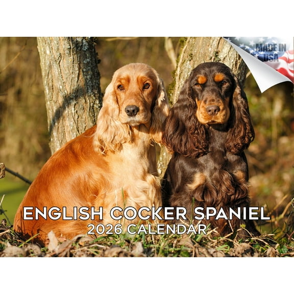 2025 2026 English Cocker Spaniel Calendar - Dog Breed Monthly Wall Calendar - 12 x 18 Open - Thick No-Bleed Paper - Giftable - Made in USA
