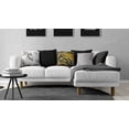 thumbnail image 2 of hometrends Palm Decorative Pillow, 2 of 3