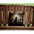 thumbnail image 2 of Black Labrador Retriever Spooky Halloween Fabric Decorative Pillow 14 in x 14 in, 2 of 4