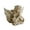 Brown, variant on Plaster Statue Succulent Planter Resin Figure Flowerpot White Minimalist Open Top Head Plant Pot 5.5x2.0 in Art Figurine for Desktop Home Decor