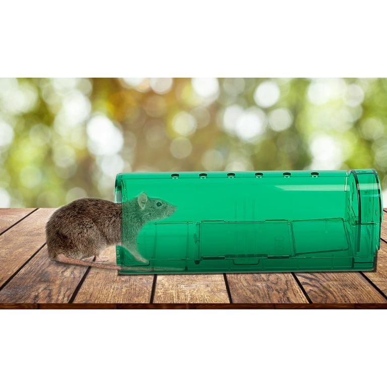 iMounTEK 2Pcs Humane Rat Trap Live Mouse Catch Trap without
