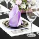 thumbnail image 5 of Servilletas de poliéster blancas BalsaCircle de 20 pulgadas, 10 unidades, para bodas y cocina, 5 of 6