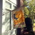 thumbnail image 2 of Carolines Treasures SS4091-FLAG-PARENT Chow Chow Flag  multicolor, 2 of 4