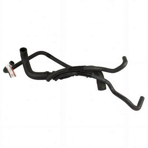 Motorcraft HOSE - RADIATOR (P)