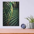 thumbnail image 4 of Luxe Metal Art 'Beauty Amongst Palms 3' by Ashley Aldridge Metal Wall Art, 12"x16", 4 of 7