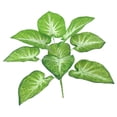 thumbnail image 1 of s artificiales Árbol Epipremnum Aureum s artificiales árbol Vegetación , Mini artificial Bonsai Adornos de es Baoblaze Hojas de taro artificial, 1 of 8