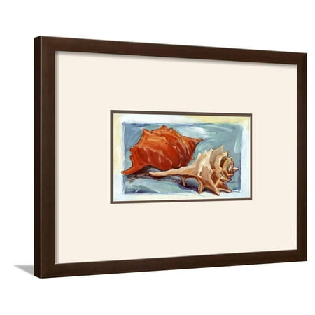 Caracolas II Framed Art Print Wall Art  By Cruz - 26x20