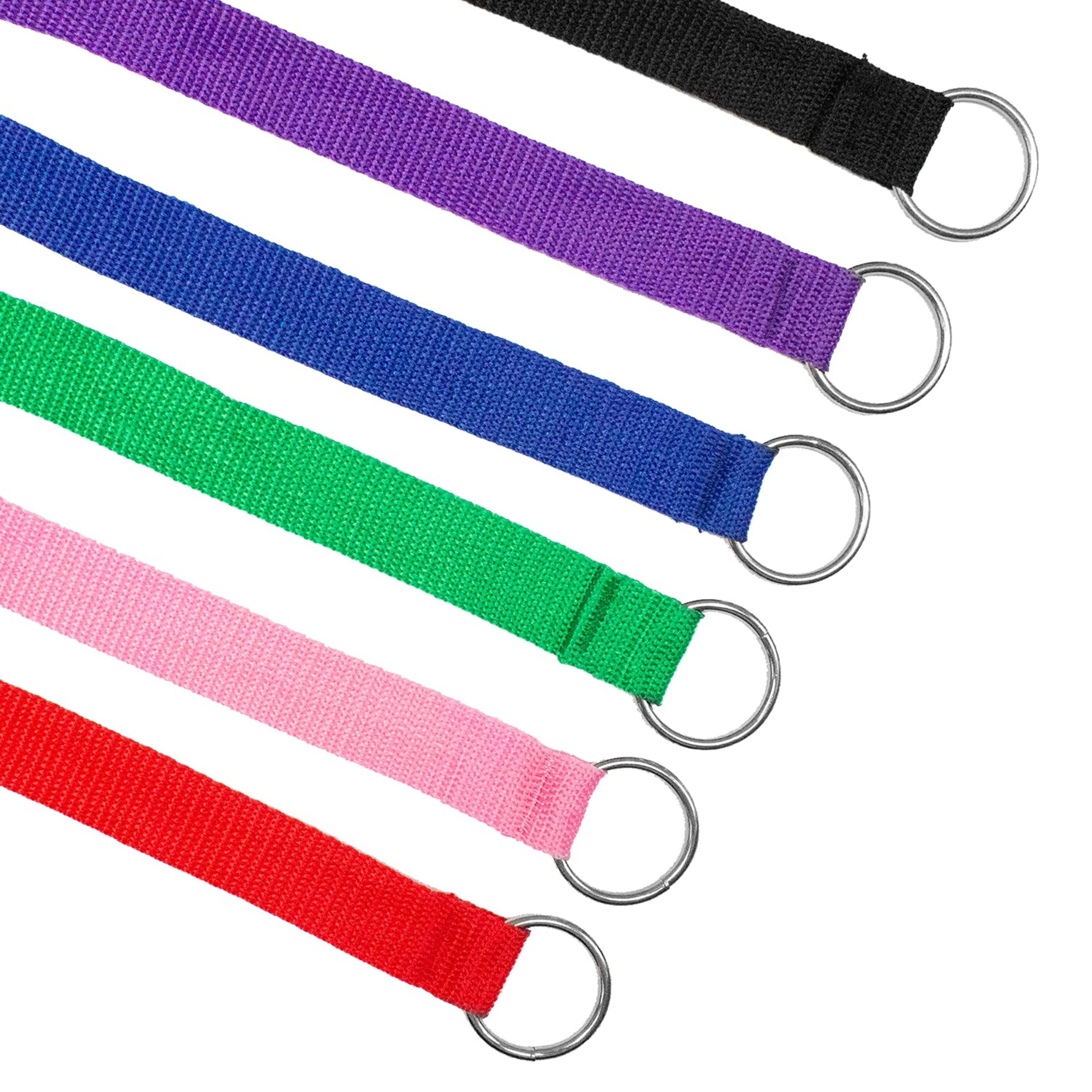 Downtown Pet Supply Slip Lead Dog Leash, Universal Slip Leash, O Ring, 12 Pk