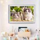 thumbnail image 4 of peinture Diamant Kit De Broderie Au Point De Croix Pour Enfants 5d Peinture Diamant Complet Motif Chat Blanc Et Temple De Chat Color Point De Croi, 4 of 5