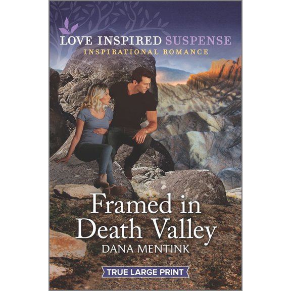 Desert Justice: Framed in Death Valley (Paperback)(Large Print)