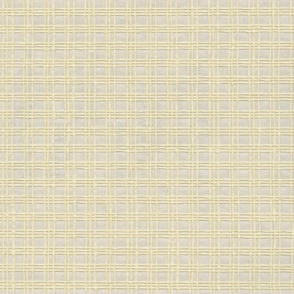 Kenneth James Nonen Champagne Paper Weave Wallpaper, 36-in by 24-ft, 72 sq. ft