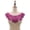 Deep Purple, variant on SPRING PARK Embroidery Patches DIY Lace Collar Neckline Decorate Sewing on Applique Craft