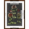thumbnail image 5 of Art.com Vintage Botanical Chart I Art Print by Vision Studio, Brown Frame Wall Art, 17" x 23", 5 of 5