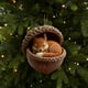 thumbnail image 1 of Adornos de animales del bosque durmientes (juego de 9) | Criaturas del bosque en miniatura con bellotas | Decoración para árbol de Navidad con erizo, mapache y pingüino | Decoraciones navideñas, 1 of 1
