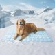 thumbnail image 1 of Colchoneta refrescante para perros, extra grande, azul, 48 x 30 cm, 1 of 6