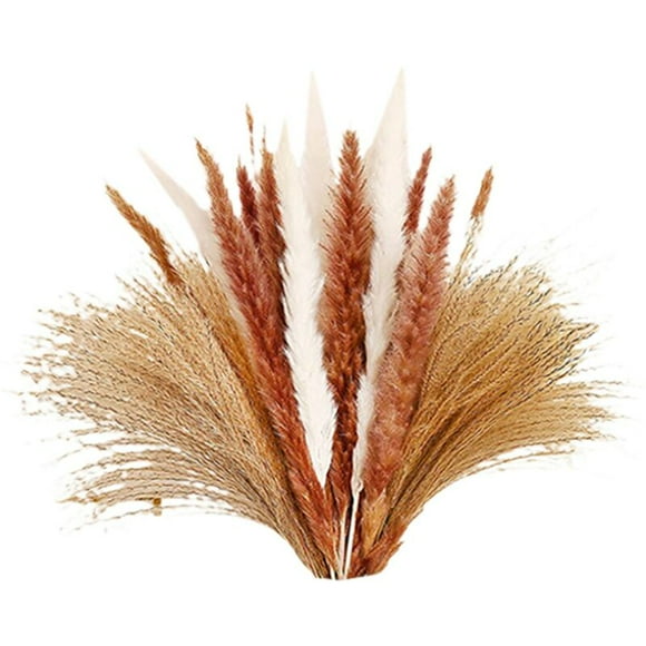 Pampas Grass Natural Dried Flowers Pampas Grass Decoration Dried Pampas Grass for Wedding Decoration Home Decor