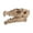 3, variant on Plastic Fish Miniature Skull Landscape Ornaments Water Fashion Simulated Water Skull Aquariums Ornament