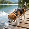 thumbnail image 6 of AuroraX Breathable Dog Muzzle for Dogs Adjustable Pet Mouth Cover Reflective Durable Paw Proof Comfortable Pet Supplies for Dogs Black National Dog Day International Cat Day, 6 of 6