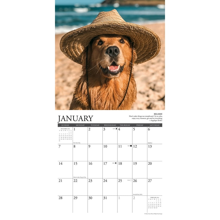 日本全国送料無料商品 特集 12 2024 Rules Golden X Walmart.com - (Other) Calendar Wall 12 Pets&AnimalCare