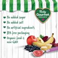 thumbnail image 3 of Baby Gourmet Organic Puree Banana Apple Beet Berry, 3 of 6