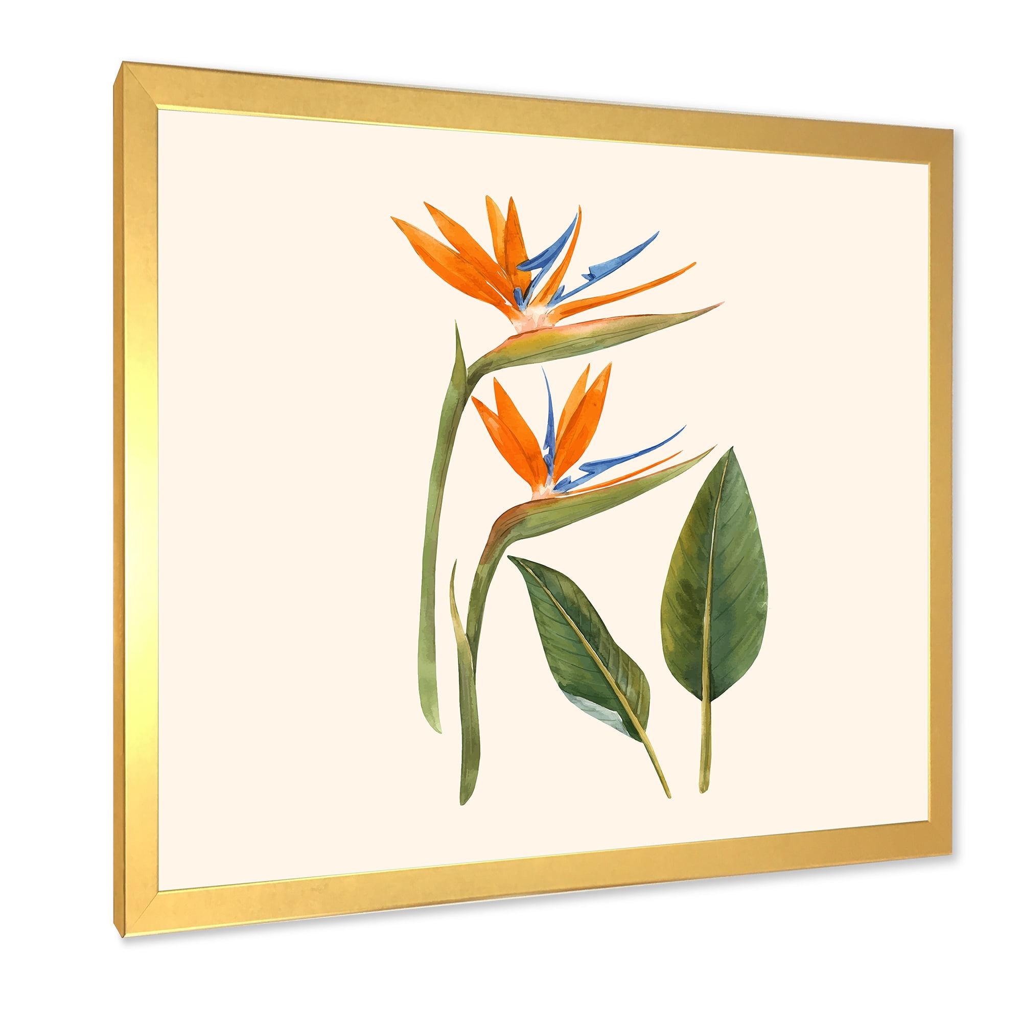 Designart 'Ancient Strelitzia Flowers' Traditional Framed Art Print
