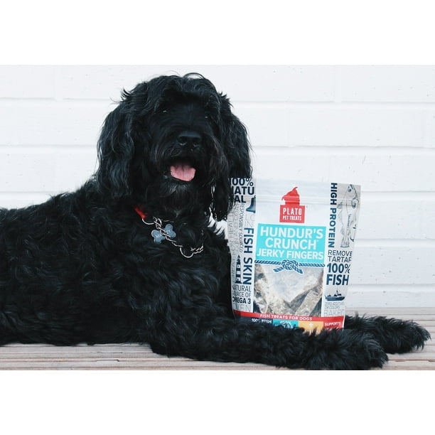 Hundur's crunch fish treats for dogs hotsell