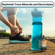 Micronutrients Liquid Drops | Electrolyte Concentrate, Rapid Rehydration | Fulvic & Humic Acid | for Energy, Low-Carb Keto, Vegan, Paleo Diet, Leg Cramp | Magnesium Sodium Potassium Zinc