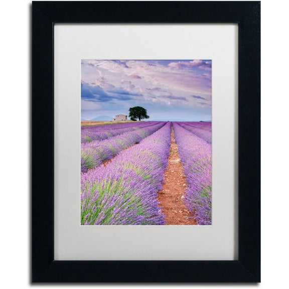 Trademark Fine Art "Rows Of Lavender" Canvas Art by Michael Blanchette Photography White Matte, Black Frame