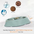 thumbnail image 5 of Comedero lento verde de 2 piezas para perros, comedero de alimentación lenta, comedero antitragantamiento para perros y gatos, promueve una alimentación saludable y una digestión lenta., 5 of 5