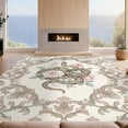 thumbnail image 2 of Design&I 5'x7' Ultra Soft Area Rug, Damask Border Watercolor Pink Aesthetic Snake Gothic Vintage Playful Expressive None Fluffy Washable Non Shedding for Bedroom Living Room Home Office, 2 of 7