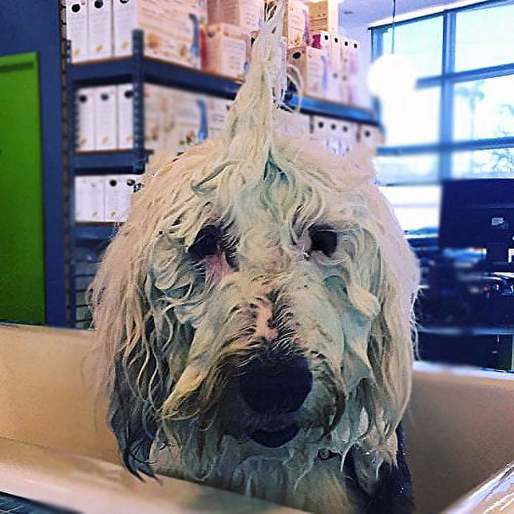 Blueberry facial dog shampoo online