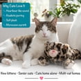 thumbnail image 6 of Catstages Calming Kitty Pal Plush Cat Toy with Purring and Heartbeat for Kitten Comfort, Battery Operated, 6 of 8
