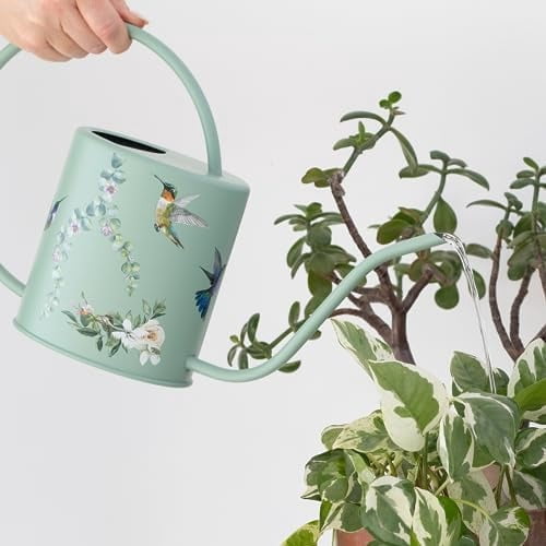 Watering Can for Indoor House Plants & Spray Water Mist Bottle - Cute Decorative Metal Gardening Small Water Can for Houseplants & Flowers with Long Spout - 1.5L 51floz 0.4 Gallon (Hummingbird Sage)