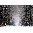thumbnail image 2 of Podt, Martin 14x11 Gold Ornate Wood Framed with Double Matting Museum Art Print Titled - Winter Tunnel, 2 of 4