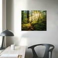 thumbnail image 4 of ONETECH Forest Canvas Wall Art Modern Canvas Painting Sunlight Through Trees Nature Landscape Poster Canvas Art And Wall Art Picture Print Living Room Decoration, 4 of 5