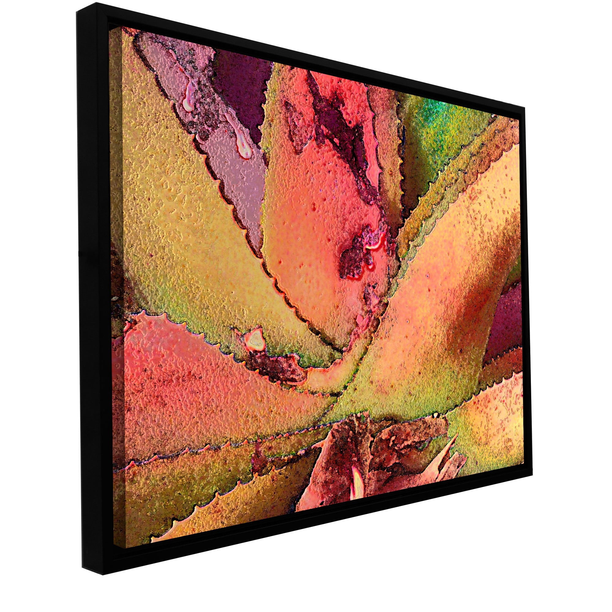 Dean Uhlinger "Texturas Suculentas" Floater-Framed Gallery-Wrapped Canvas